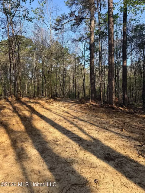 674 E J Henry Rd, Grenada, MS 38901 photo 3