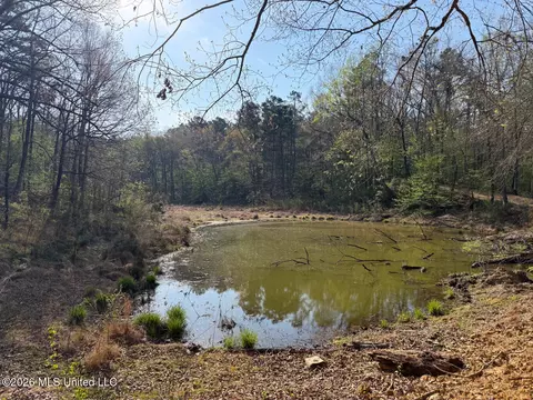 674 E J Henry Rd, Grenada, MS 38901 photo 23