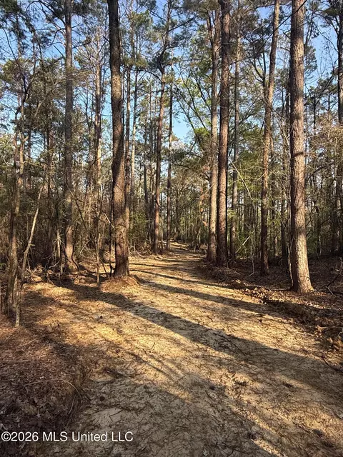 674 E J Henry Rd, Grenada, MS 38901 photo 5