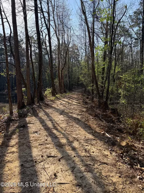 674 E J Henry Rd, Grenada, MS 38901 photo 20