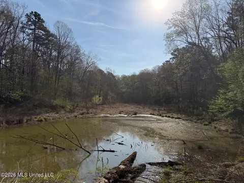674 E J Henry Rd, Grenada, MS 38901 photo 24