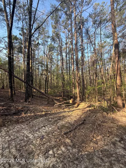 674 E J Henry Rd, Grenada, MS 38901 photo 7