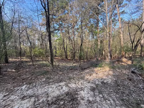 674 E J Henry Rd, Grenada, MS 38901 photo 4