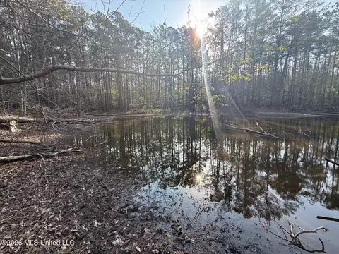 674 E J Henry Rd, Grenada, MS 38901 photo 17