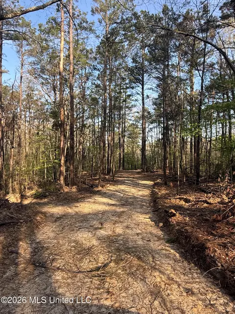 674 E J Henry Rd, Grenada, MS 38901 photo 6