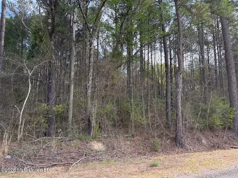 288 Galilee Rd, Carthage, MS 39051 photo 2