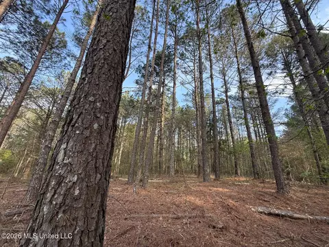 288 Galilee Rd, Carthage, MS 39051 photo 5