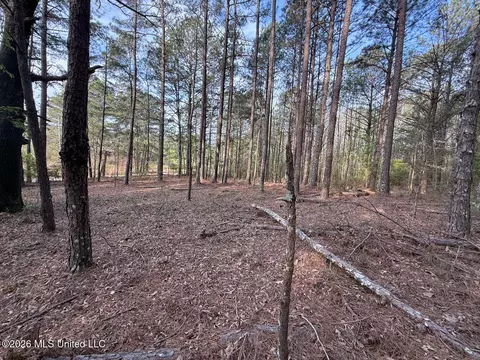 288 Galilee Rd, Carthage, MS 39051 photo 6
