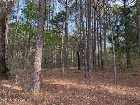 288 Galilee Rd, Carthage, MS 39051 photo 4