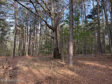 288 Galilee Rd, Carthage, MS 39051 photo 3