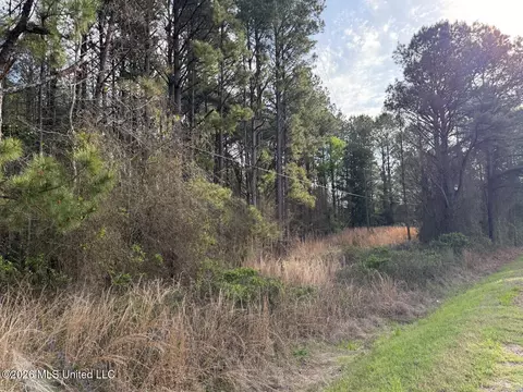 288 Galilee Rd, Carthage, MS 39051 photo 9