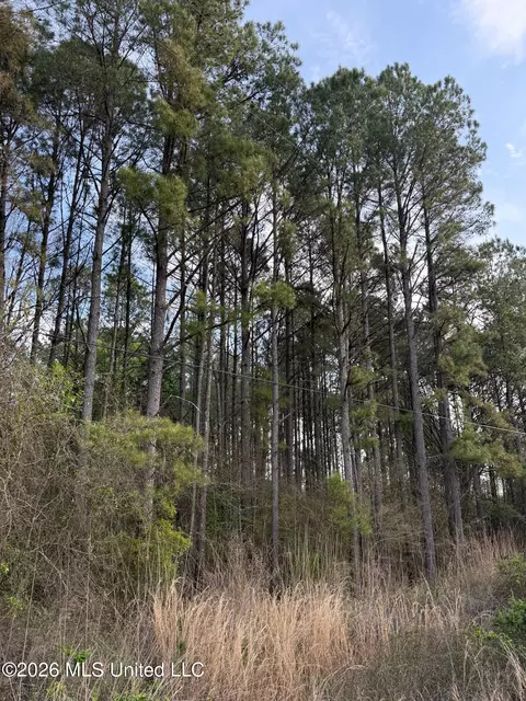 288 Galilee Rd, Carthage, MS 39051 photo 10