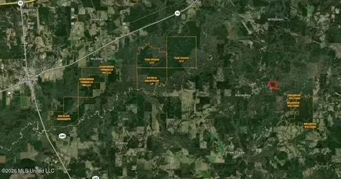 288 Galilee Rd, Carthage, MS 39051 photo 11
