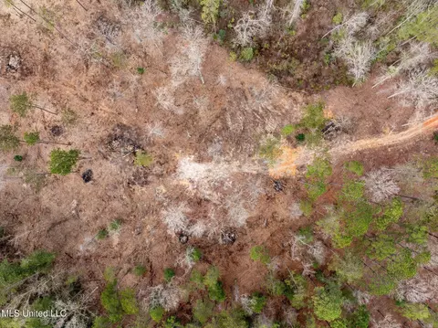 11 Acres Ms-42, Sumrall, MS 39482 photo 10