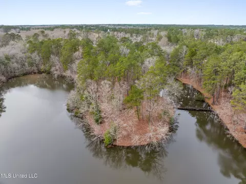 11 Acres Ms-42, Sumrall, MS 39482 photo 4