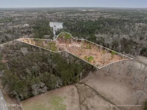 11 Acres Ms-42, Sumrall, MS 39482 photo 3