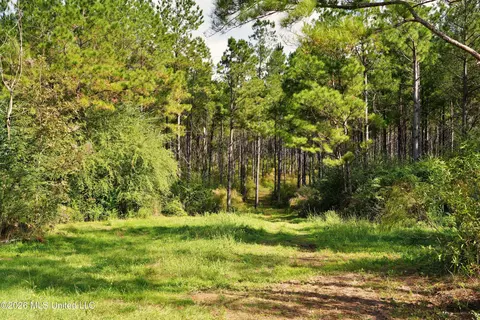 0 Mallalieu Dr, Ruth, MS 39662 photo 21