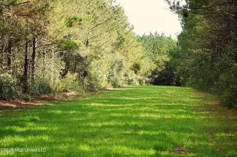 SE Pleasant Grove Road, Ruth, MS 39662 photo 8