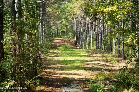 SE Pleasant Grove Road, Ruth, MS 39662 photo 2
