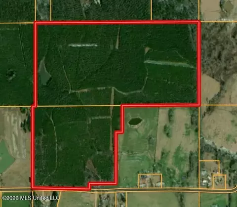 SE Pleasant Grove Road, Ruth, MS 39662 photo 11