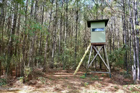 SE Pleasant Grove Road, Ruth, MS 39662 photo 6