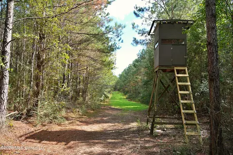 SE Pleasant Grove Road, Ruth, MS 39662