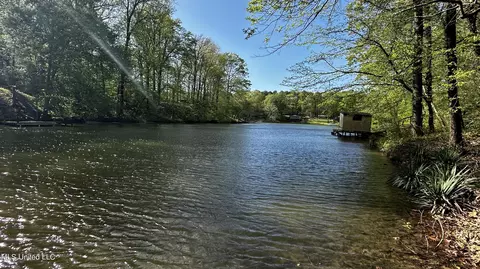 View/Area - 3337 Monans Rill Cv, Hernando, MS 38632 photo 1 of 2