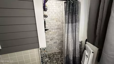 Bath - 3337 Monans Rill Cv, Hernando, MS 38632 photo 1 of 2