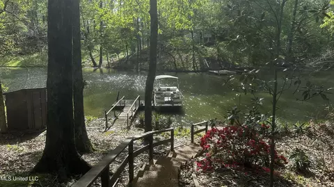 View/Area - 3337 Monans Rill Cv, Hernando, MS 38632 photo 2 of 2