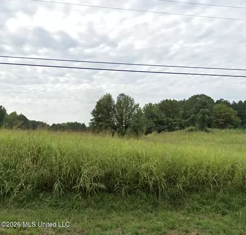 45 Dean Rd, Lake Cormorant, MS 38641