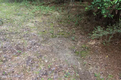 Charlie Boyd Road, Jayess, MS 39641 photo 9