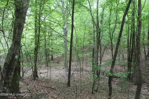 Charlie Boyd Road, Jayess, MS 39641 photo 6