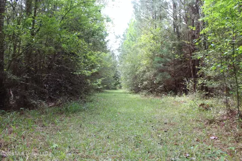 Charlie Boyd Road, Jayess, MS 39641 photo 10