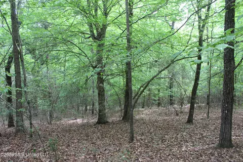 Charlie Boyd Road, Jayess, MS 39641 photo 3