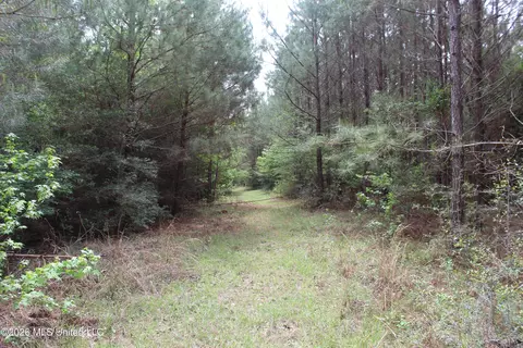 Charlie Boyd Road, Jayess, MS 39641 photo 7