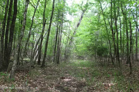 Charlie Boyd Road, Jayess, MS 39641 photo 13