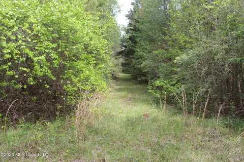 Charlie Boyd Road, Jayess, MS 39641 photo 11