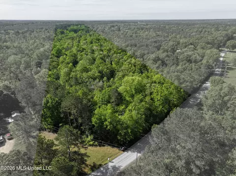 Charlie Boyd Road, Jayess, MS 39641 photo 16