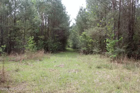 Charlie Boyd Road, Jayess, MS 39641 photo 8