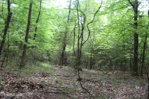 Charlie Boyd Road, Jayess, MS 39641 photo 14