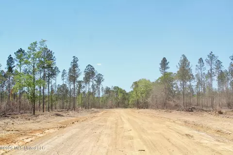 3 67ac Cottonwood Dr, Lucedale, MS 39452 photo 7