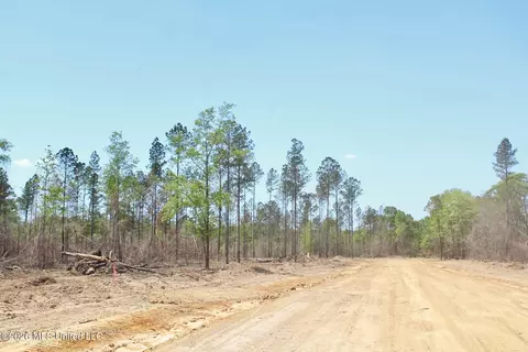 3 67ac Cottonwood Dr, Lucedale, MS 39452 photo 6