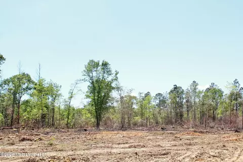 3 67ac Cottonwood Dr, Lucedale, MS 39452 photo 9
