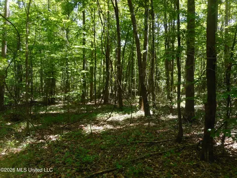 Hwy 25, Lena, MS 39094 photo 15