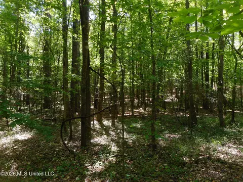 Hwy 25, Lena, MS 39094 photo 14