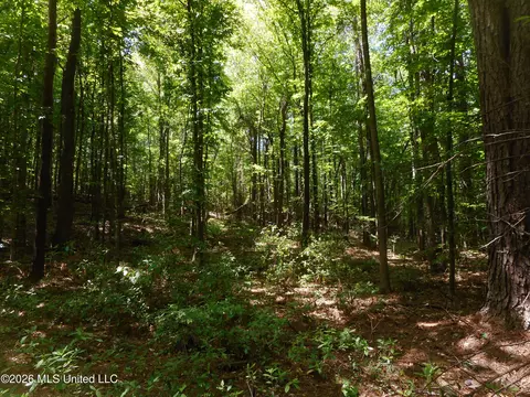 Hwy 25, Lena, MS 39094 photo 18