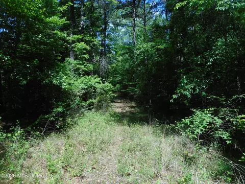 Hwy 25, Lena, MS 39094 photo 22