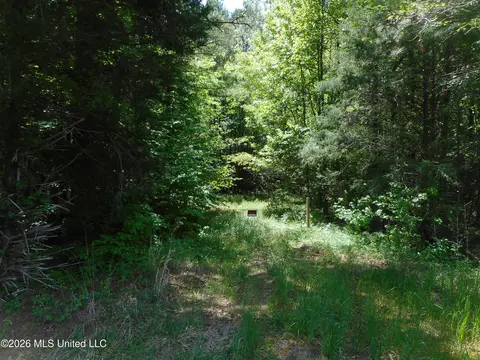 Hwy 25, Lena, MS 39094 photo 5