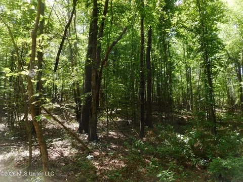 Hwy 25, Lena, MS 39094 photo 17