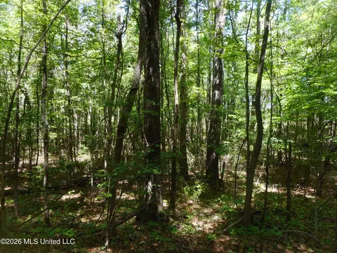 Hwy 25, Lena, MS 39094 photo 24